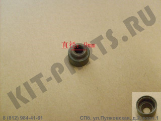 Колпачок маслосъемный для Great Wall Hover H5 1007100ED01