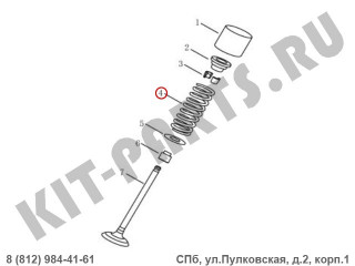 Пружина клапана для Geely Emgrand X7 NL4 1030002900